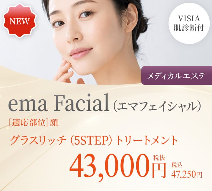 ema Facial(エマフェイシャル)・VISIA肌診断付（メディカルエステ）