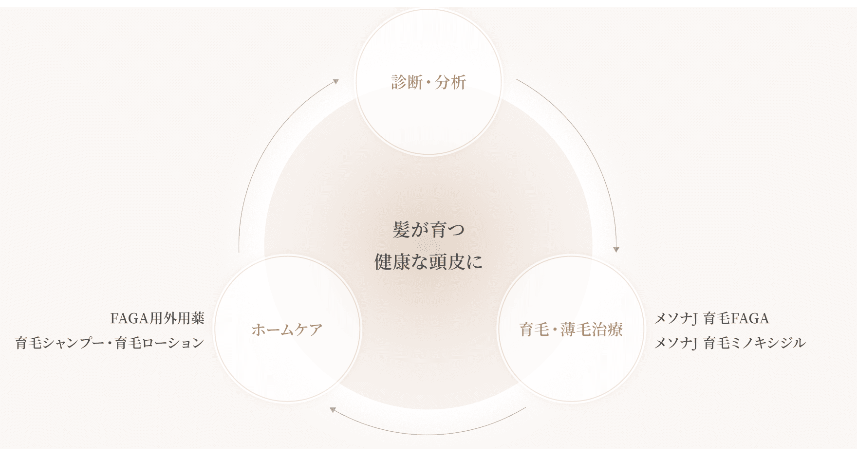 髪が育つ健康な頭皮に
