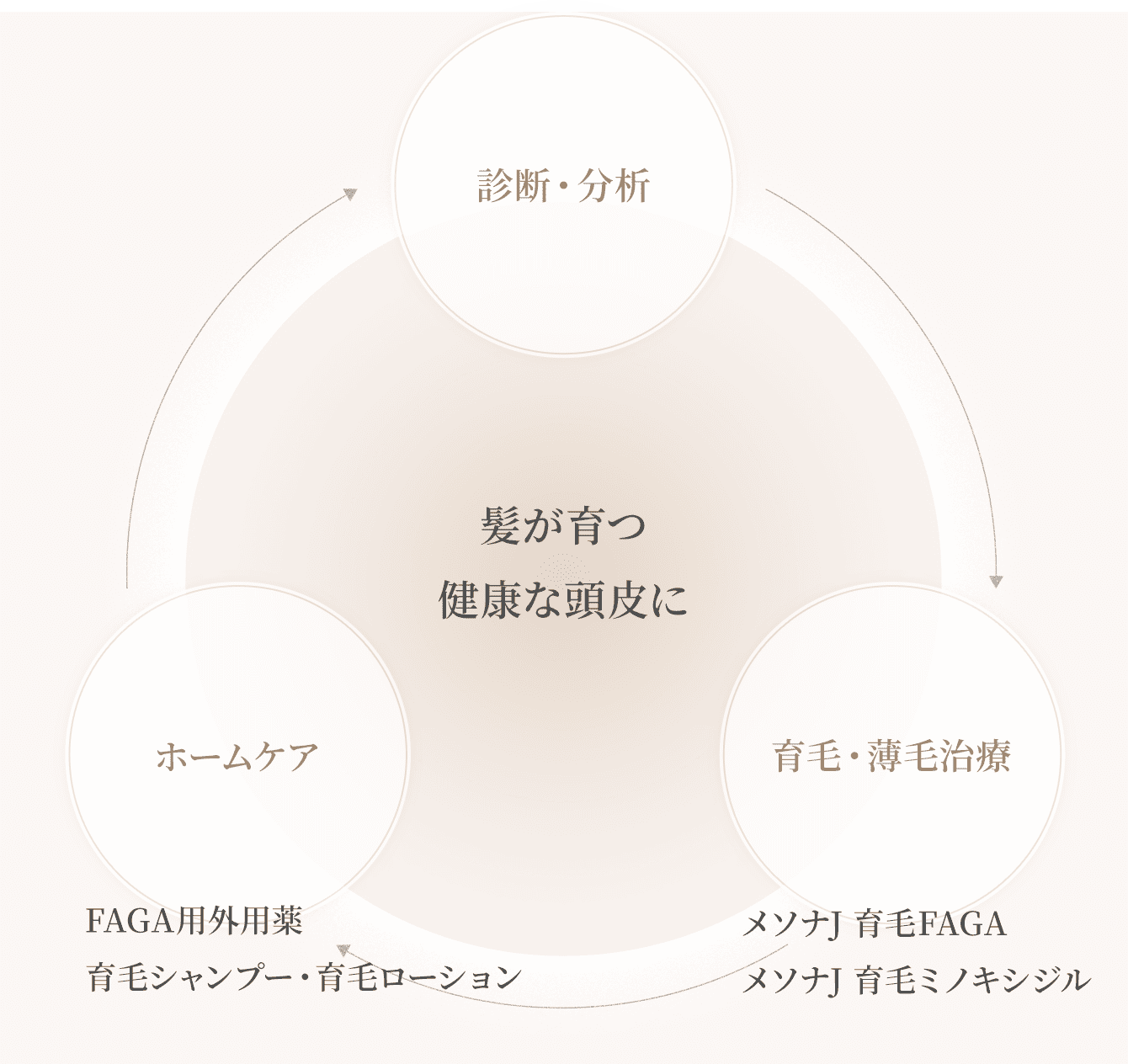 髪が育つ健康な頭皮に