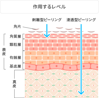 作用するレベル