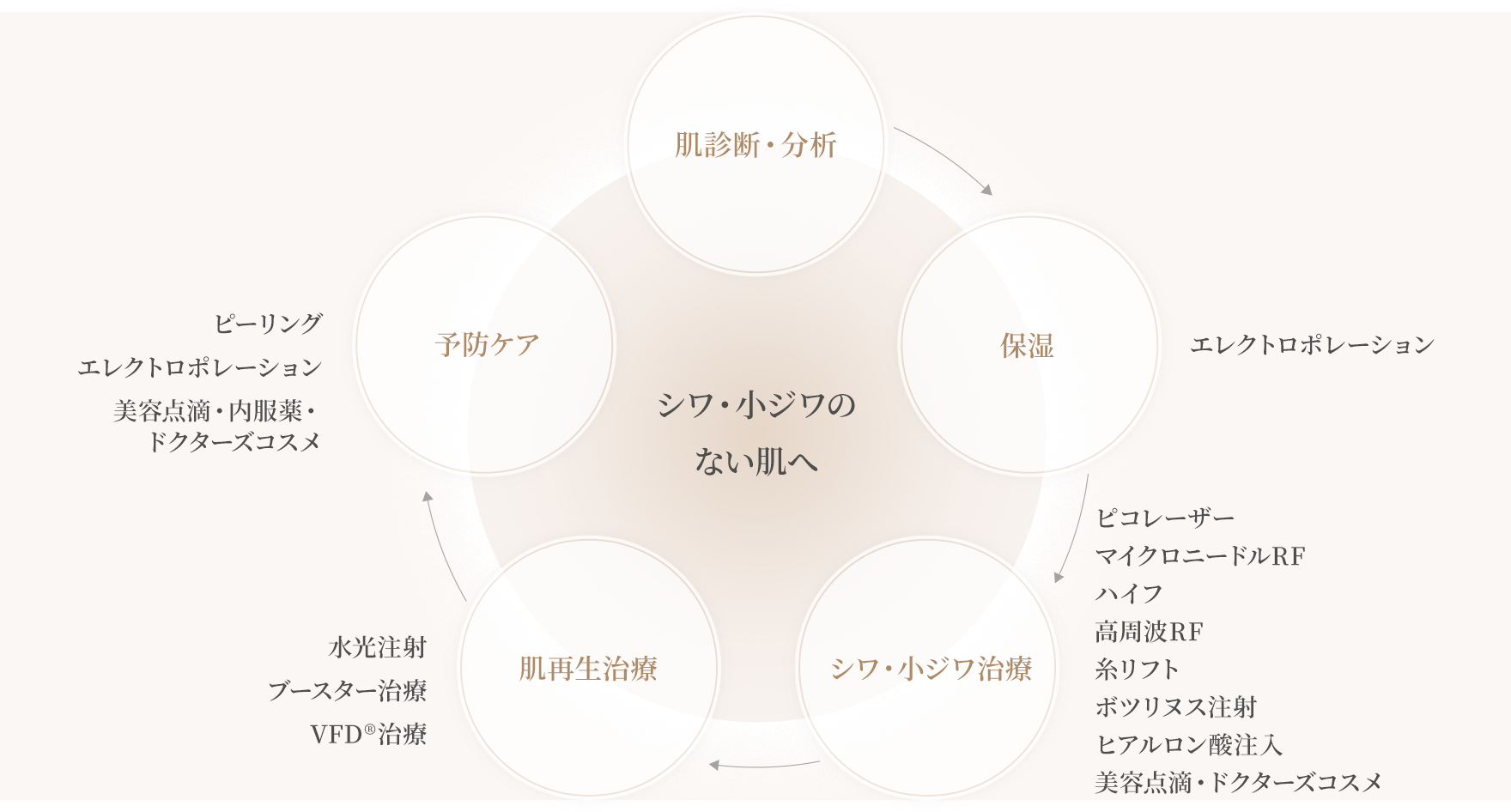 シワ・小ジワのない肌へ