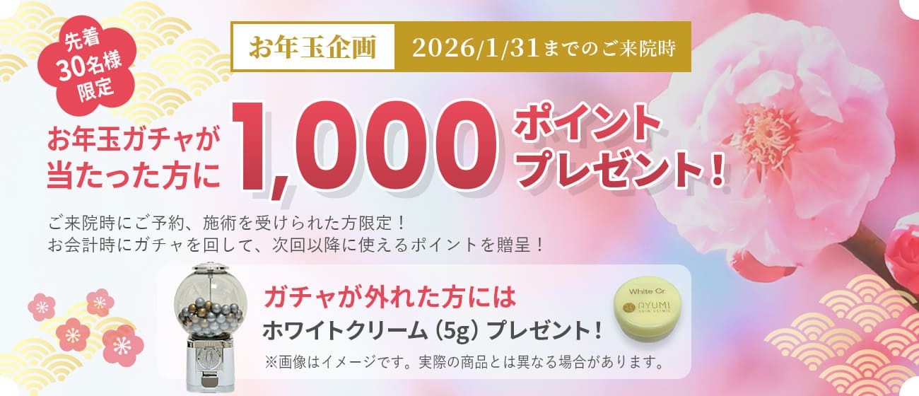 お年玉キャンペーン